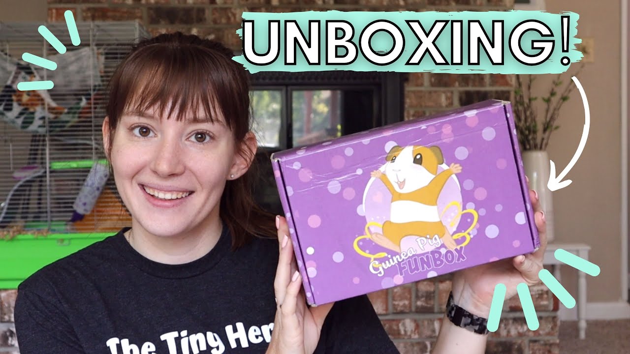 I SERIOUSLY LOVED THIS! 😍 Guinea Pig Fun Box August Unboxing