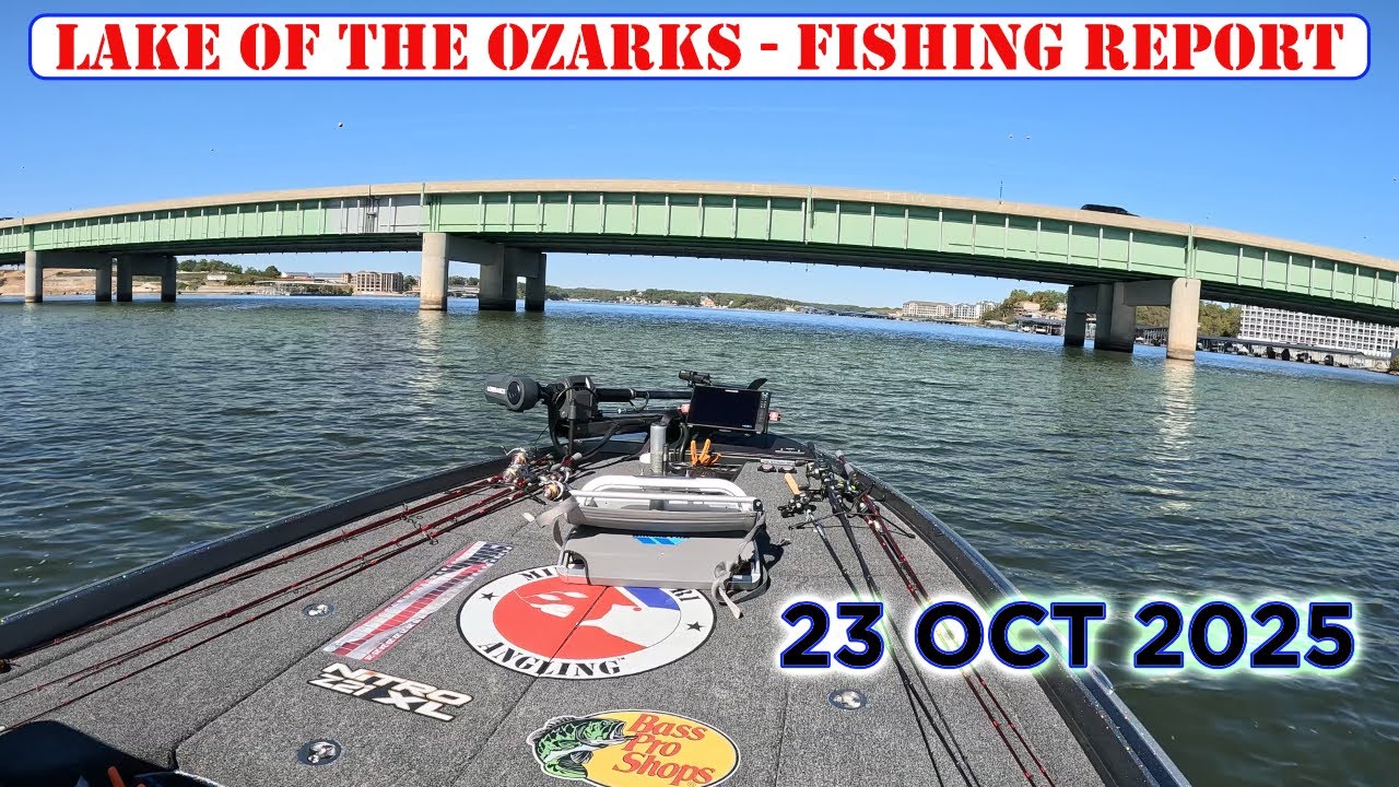 Lake of the Ozarks Bass Fishing – 23 Oct 2025 | Fishing report