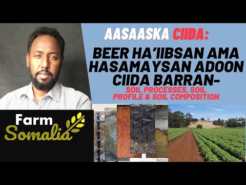 Aasaaska ciidda: Beer ha’iibsan ama hasamaysan adoon Ciida barran-Soil processes & Soil Profile