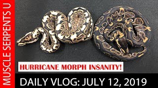 THE GODFATHER of HURRICANE MORPHS!  July 12, 2019