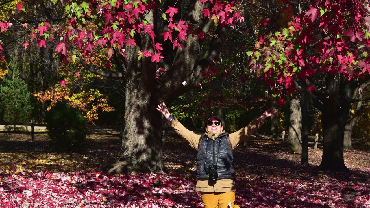 Psalm ເພງສັນເສີນ 104:1