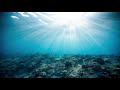 Underwater  | Binaural Beats - Delta Waves | Deep Sleep