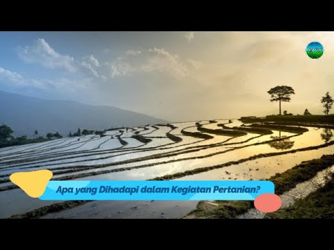 Video: Apa yang digarap dalam pertanian?