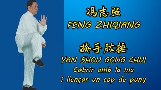 FENG ZHIQIANG TAIJI  Cop de puny de Taiji (subtítols en català). 冯志强 掩手肱捶 (加泰兰语字幕)