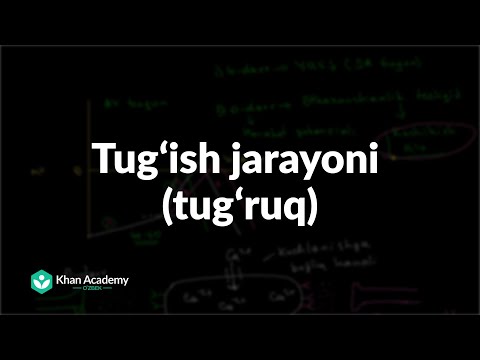 Tugʻish jarayoni (tugʻruq) | Homiladorlik va homiladorlik asoratlari | Tibbiyot
