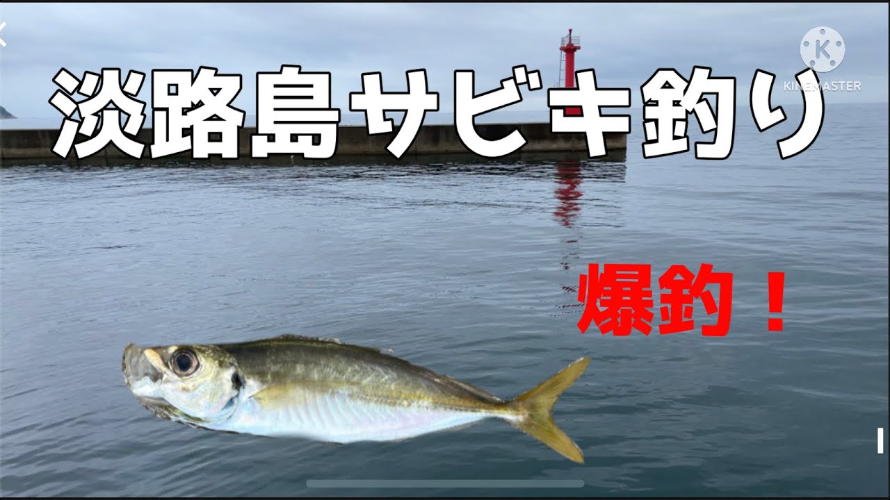 淡路島でサビキ釣りしてみた 4 淡路島釣り Youtube
