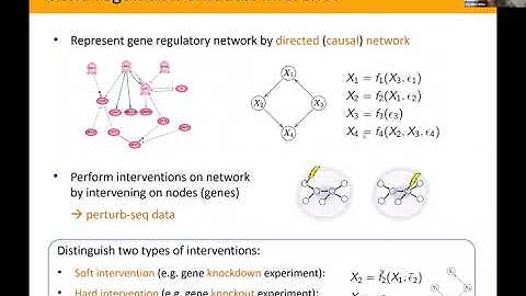 Caroline Uhler, Multi Domain Data Integration  From Observations to Mechanistic Insights