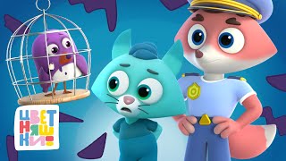 видео: Цветняшки — День безопасности — Мультик для детей картинка: Цветняшки — День безопасности — Мультик для детей