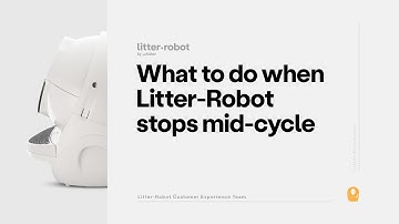 What To Do When Litter-Robot Stops Mid-Cycle | Litter-Robot 3