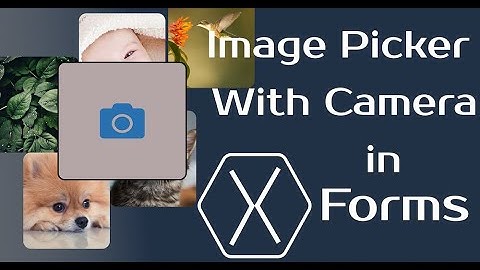 Image Picker with Camera in Xamarin Forms | Xamarin Life