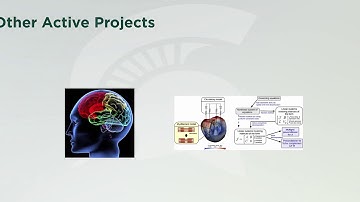 A Statistician at the Junction of BIG Data and Data Science