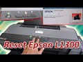 Reset epson l1300  printer blinking error