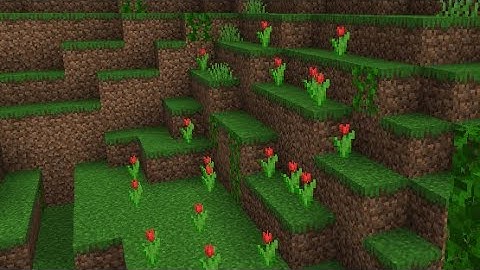 Minecraft but if I see red, the video ends