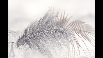 سورة الشعراء - الشيخ أحمد النفيس - Surat Alshueara - Ahmad Alnafis