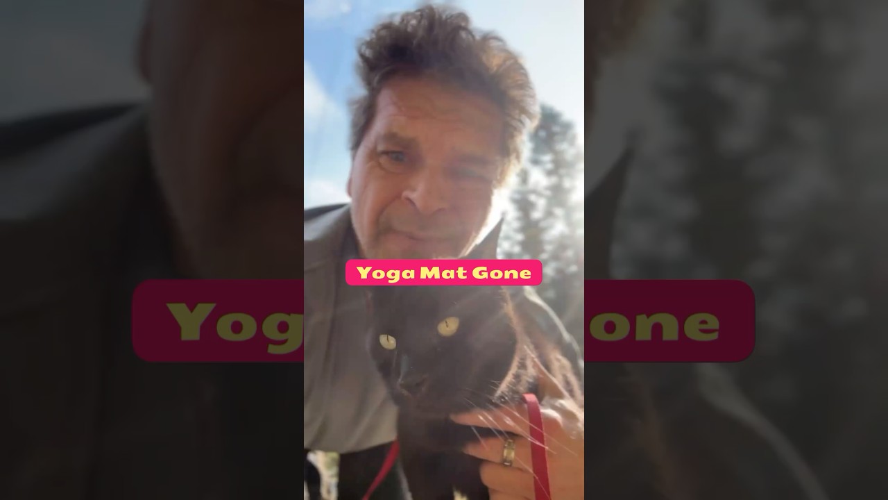 Timmy the Yoga Guru 🐾☕️ (You Won’t Believe This Pose)