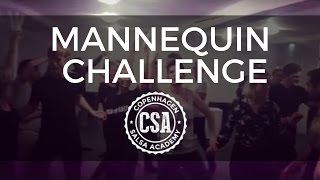 CSA Mannequin Challenge - part 2