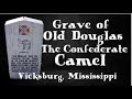 Grave of Douglas the Confederate Camel - Vicksburg, MS