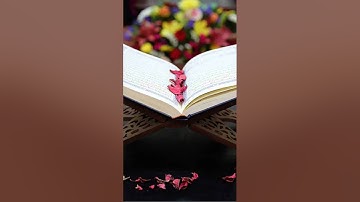 #اكسبلور #لايك #المصحف #القران الكريم #سورة ياسين
