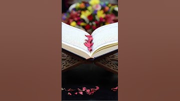 #اكسبلور #لايك #المصحف #القران الكريم #سورة ياسين