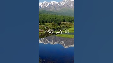 سورة الزلزلة بصوت أبو بكر الشاطري