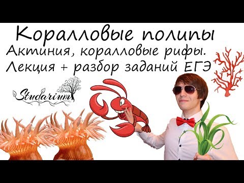 Видео: Раскрытие транскриптомного потенциала фиксированных формалином в парафине клинических тканей: сравнение подходов профилирования экспрессии генов