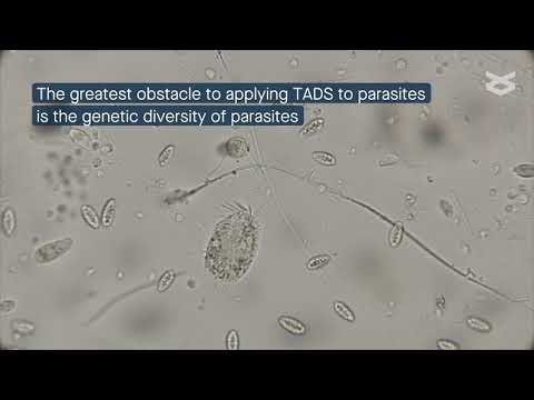 Video: Pre ktorého parazita je indikovaný antimalarikum?