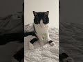 おててないない講座はこちら