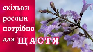 видео: Ревізія у квітнику • Тонкощі вибору рослин  картинка: Ревізія у квітнику • Тонкощі вибору рослин