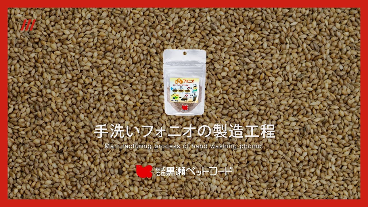 手洗いフォニオの製造工程