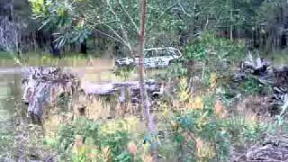paddock bashing