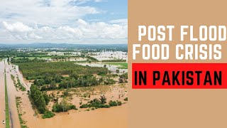post flood food crisis in Pakistan|current affairs
