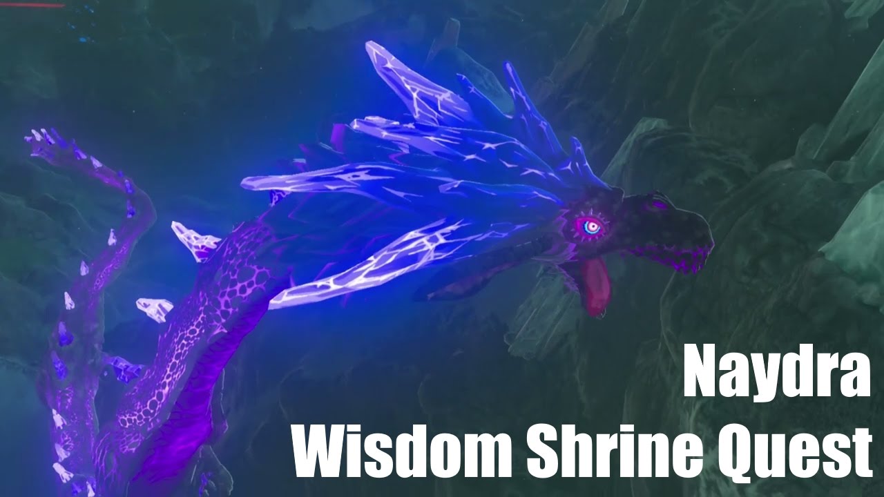 Spring of Wisdom Shrine Quest Guide to Unlock Naydra 