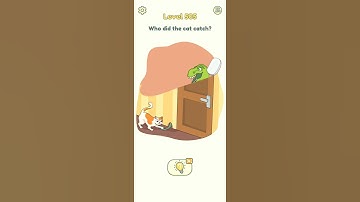 DOP 2 Level 505 | Delete One Part Level 505 Walkthrough Solution Who Did The Cat Catch