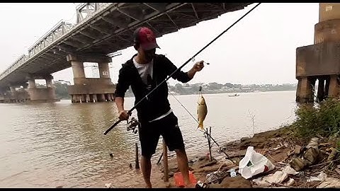 Câu Cá Sông Hồng | Giải Trí Giữa Lòng Hà Nội - P7