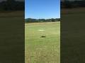 Convergence VTOL with Frsky