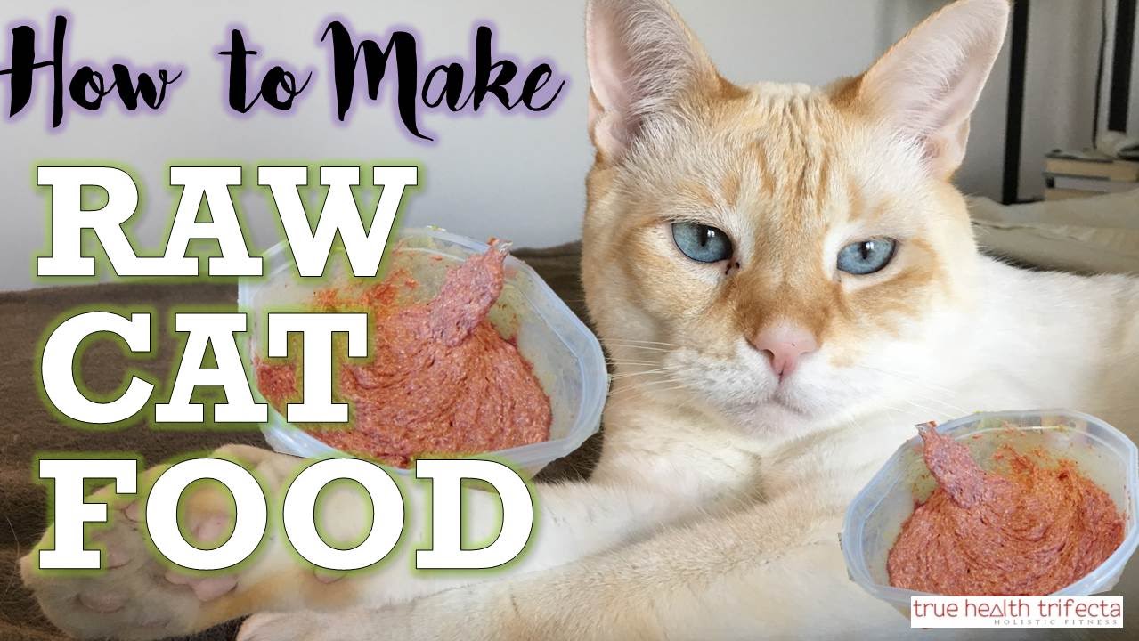 How to Make RAW CAT FOOD RECIPE  Homemade Cat Food for 