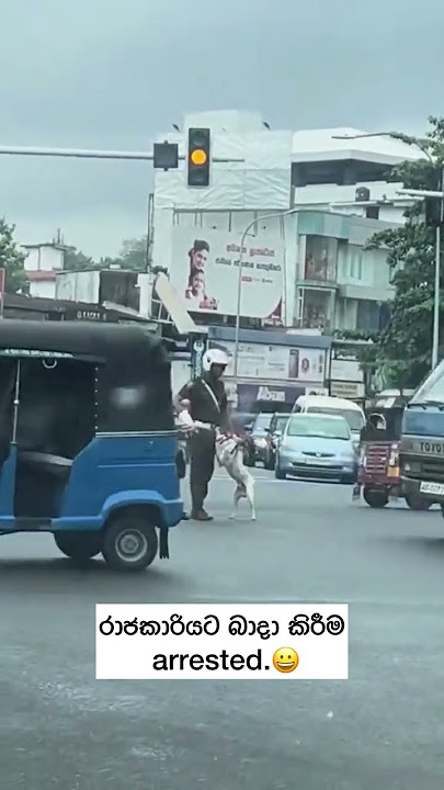 රාජකාරියට බාදා කිරීම යටතේ අත්තඩංගුවට 😁😁😁❤️