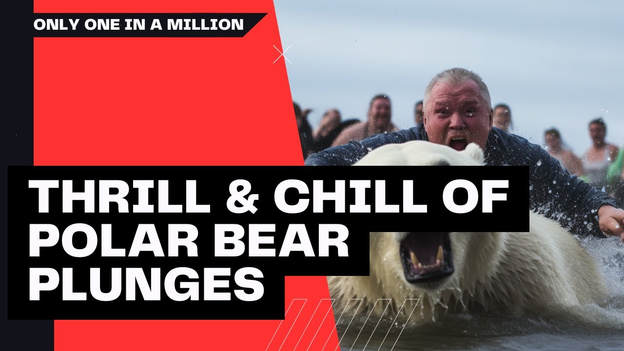 The Thrill & Chill of Polar Bear Plunges Diving into Danger? YouTube