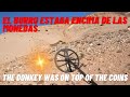 EL BURRO ESTABA ENCIMA DE LAS MONEDAS,, THE DONKEY WAS ON TOP OF THE COINS