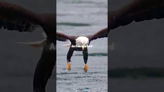 Everything At Once - Lenka Lyrics Aestetic Whatsapp Status English Songs Slowed Speed Up