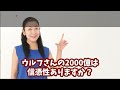 【株式投資】ウルフ村田は本物か！？投資家は絶対に知って置くべき投資詐欺の典型的な話。【テスタ/株デイトレ/初心者/大損/投資/塩漬け/損切り/ナンピン/現物取引/切り抜き】