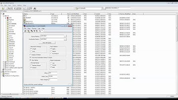 AccuMark Tip of the Day- AutoMark
