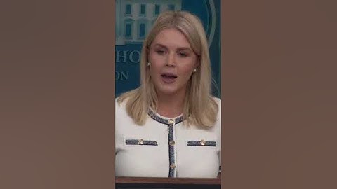 Leavitt: Democrats 'Didn't Do A Dang Thing When It Came To Transparency' On Epstein During Biden