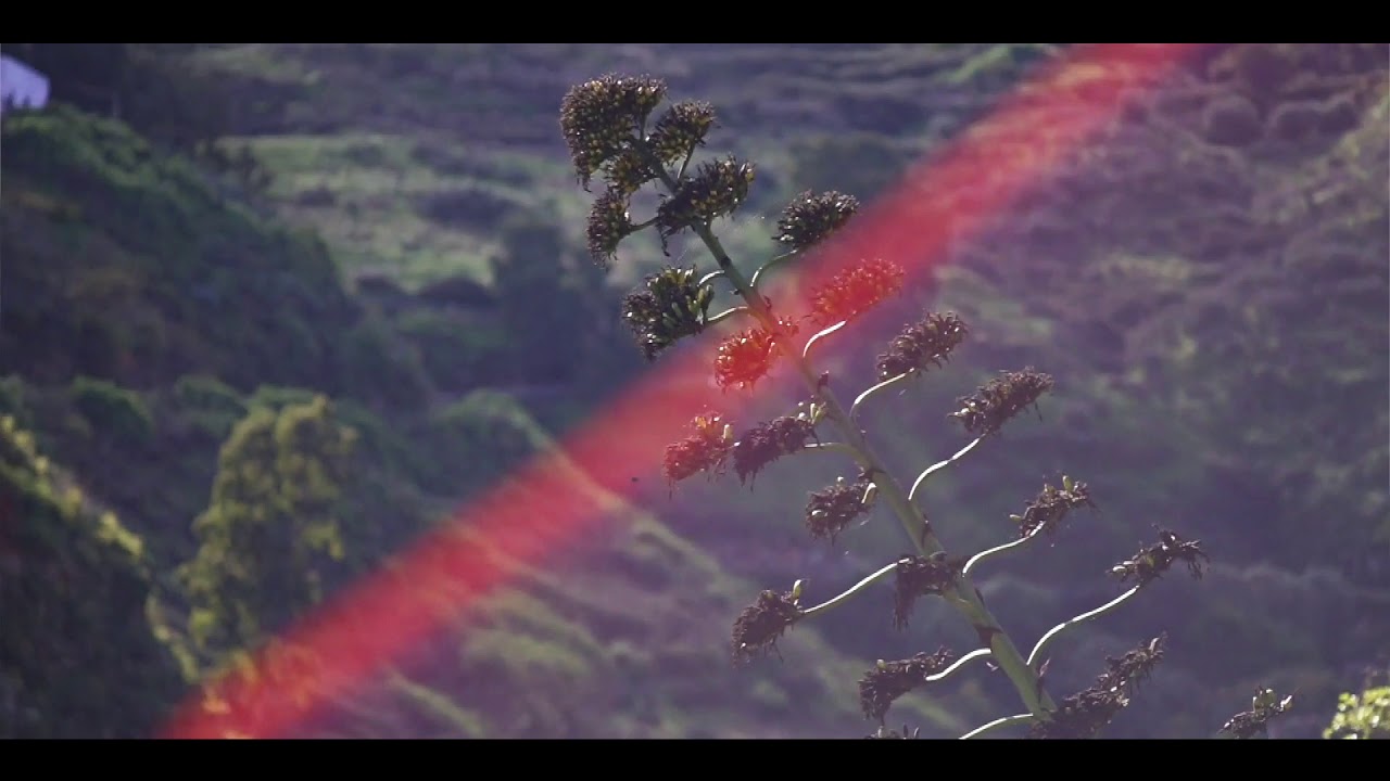 camino art hostel   our world