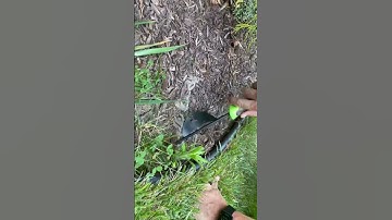 Weeding Tool, Heavy-Duty Weeder, Leverage Design,, Ergonomic Handle and Two-Pronged V-Shaped Fork…