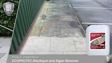 ECOPROTEC - Black Spot and Algae Remover
