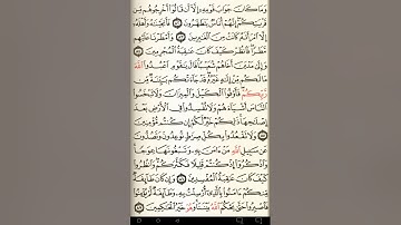 ماهر المعيقلي سورة الأعراف مكتوبة صفحة 161 مصحف المدينة المنورة جودة عالية
