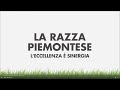 #3 - La Granda / LA RAZZA PIEMONTESE