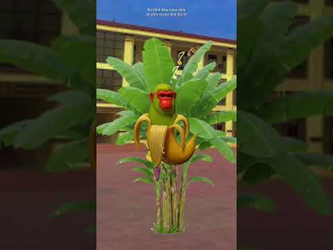 Trường học Brainrot