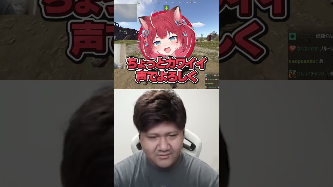 萌え声募集で採用されるらっしゃー【VCR Rust/らっしゃー/Zerost/赤見かるび/】